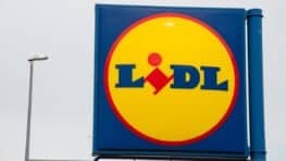 Lidl innove et sort un hamac à eau pour bronzer dans votre piscine et rester au frais tout l'été !