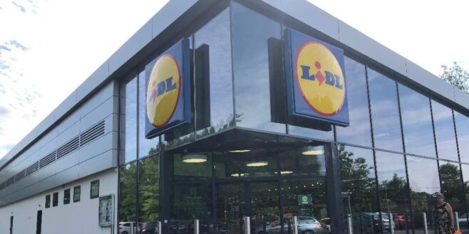 Lidl lance la solution parfaite contre les piqûres de moustiques à moins de 18 euros !