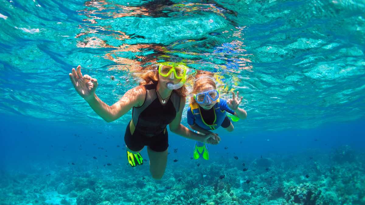 Lidl lancia la migliore maschera per lo snorkeling per l’avvistamento dei pesci quest’estate!  – Tuxboard