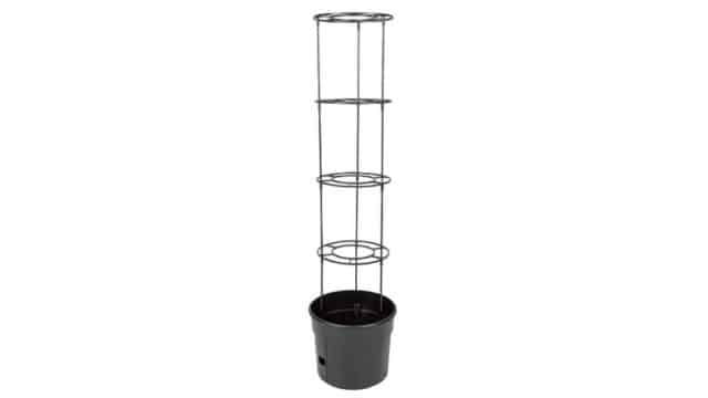 Lidl transforme votre balcon en potager pour cultiver vos tomates depuis chez vous !