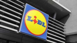 Lidl lance son service de magazines et journaux gratuits en ligne !