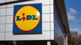 Lidl voici la liste des produits dangereux pour la santé à ne plus jamais acheter selon UFC Que Choisir