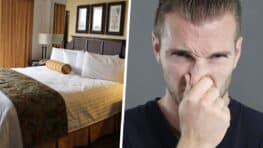 Un client d'un hôtel se plaignait d'une odeur de pieds dans sa chambre et fait une découverte horrible sous le lit !