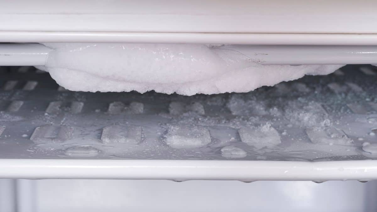 Размораживание холодильника no frost. Холодильник Индезит ноу Фрост намерзает лед. Холодильник Атлант наледь. Разморозка холодильника Атлант. Лед в морозилке.