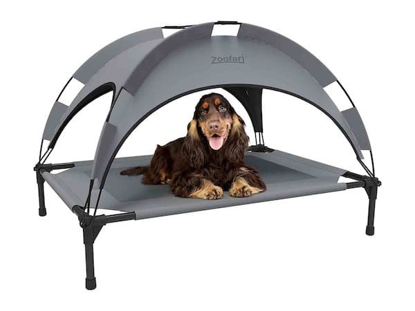 Lidl tient l'accessoire parfait pour protéger votre chien du soleil et des fortes températures cet été