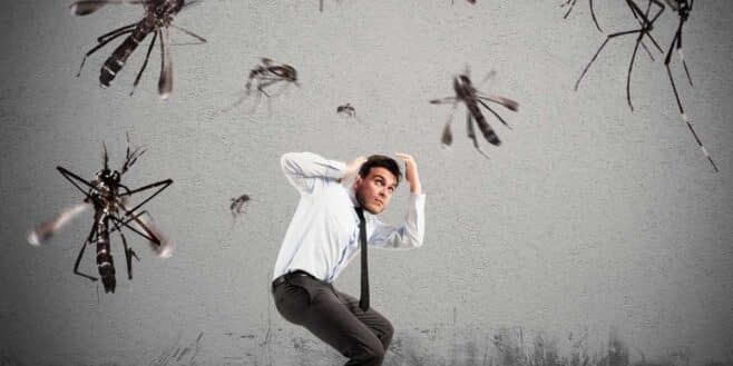 Anti-moustiques voici enfin le produit le plus efficace de tous !