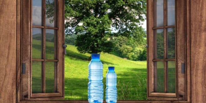 Cette astuce géniale pour faire fuir les animaux errants avec des bouteilles d'eau devant les portes et fenêtres !