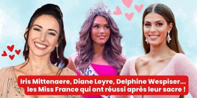 Iris Mittenaere, Diane Leyre, Delphine Wespiser... les Miss France qui ont réussi après leur sacre !