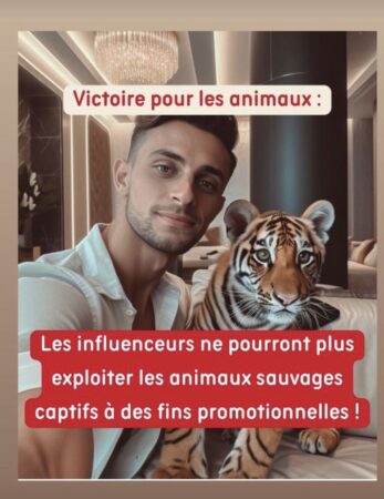 Karine Ferri se réjouit du combat de Booba contre les influvoleurs ! 