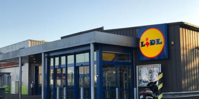 Lidl a l'accessoire indispensable pour prendre soin de votre chien tout l'été !