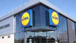 Lidl frappe fort avec ce superbe hamac pour se sentir en vacances sans bouger de chez vous !