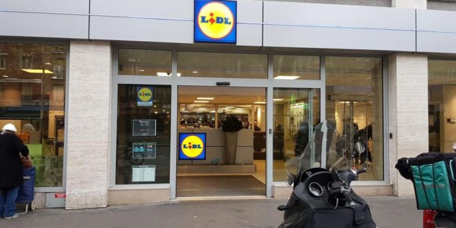 Lidl frappe fort avec sa nouvelle bibliothèque originale, pratique et pas chère !