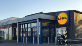 Lidl frappe fort avec son extracteur de jus vapeur parfait pour cet été !