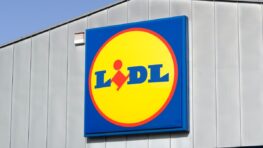 Lidl lance le produit parfait pour avoir un plus beau sourire !