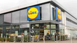 Lidl lance le produit parfait pour faire pousser des fraises de sa terrasse ou son jardin !