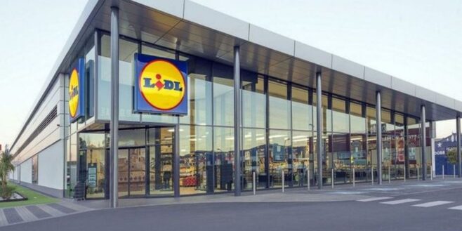 Lidl lance l'indispensable pour prendre soin de votre piscine toute l'année !