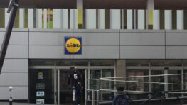 Lidl lance sa nouvelle douche écologique et solaire à tout petit prix !