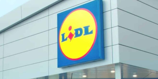 Lidl sort la chaise longue la plus pratique pour profiter de l'été sur sa terrasse ou son jardin !