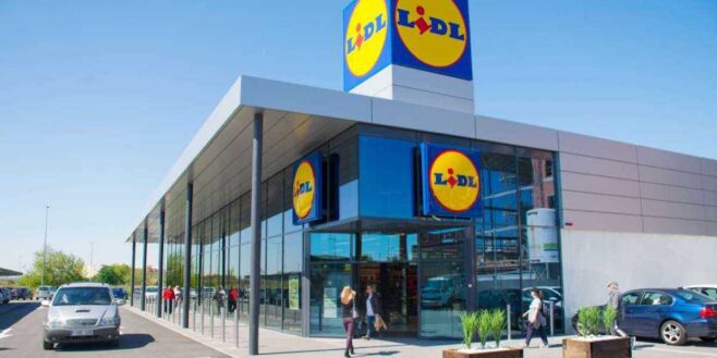 Lidl sort la chaise qui donnera un look luxueux à votre salon !