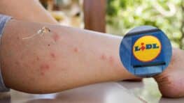 Lidl sort la solution parfaite pour ne plus avoir de moustiques cet été à moins de 2 euros !