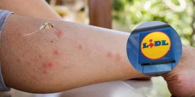 Lidl sort la solution parfaite pour ne plus avoir de moustiques cet été à moins de 2 euros !