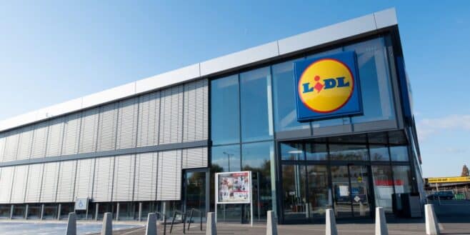 Lidl sort le maillot de bain le plus tendance de l'été à moins de 10 euros !