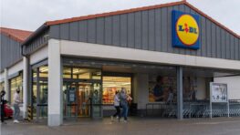 Lidl sort une la collection parfaite pour emmener votre chien en vacances d'été !