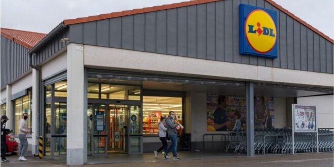 Lidl sort une la collection parfaite pour emmener votre chien en vacances d'été !