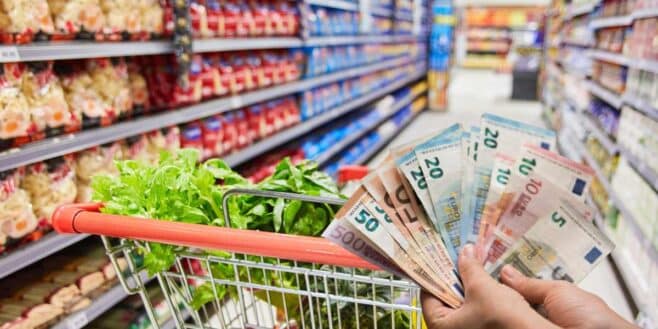 Prime alimentaire la bonne nouvelle est tombée et voici son nouveau montant !