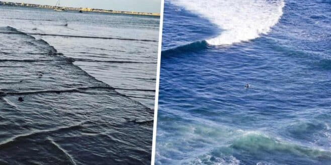 Si vous voyez des vagues carrées, fuyez et lancez l'alerte pour que tout le monde quitte l'eau !