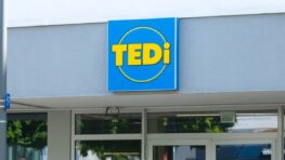 TEDI l'enseigne concurrente d'Action fait un flop en France et voici pourquoi !