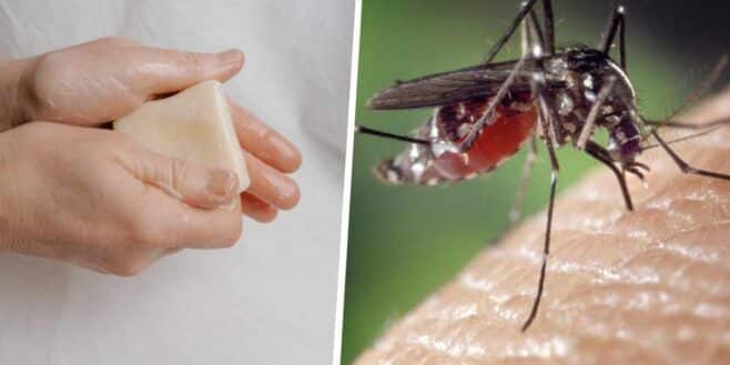 Voici le meilleur savon pour éloigner les moustiques tout l'été grâce à son odeur très spéciale !