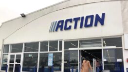 Action frappe fort avec un panier pour chiens confortable et résistant aux tâches !