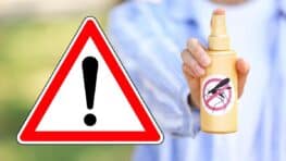 Anti-moustiques attention à ces 5 produits ils sont super dangereux pour la santé !
