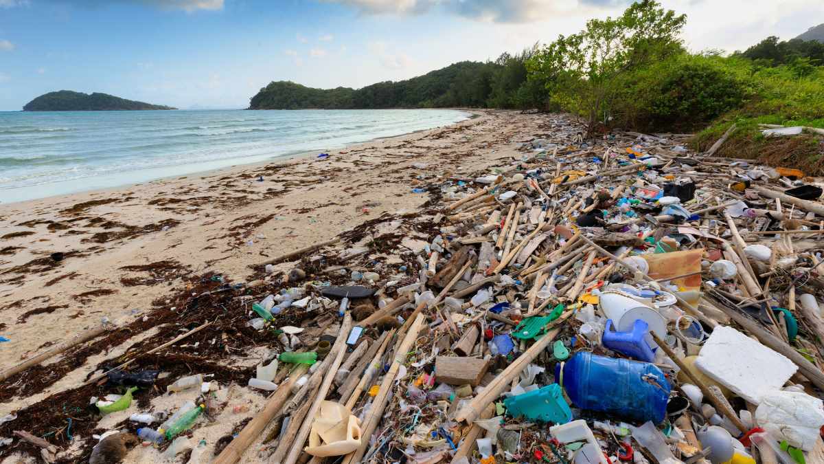 ¡Cuidado, estas dos playas son las más contaminadas de Francia!  – Tablero de esmoquin