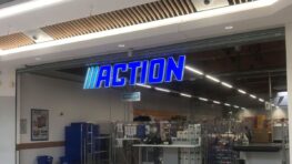 Cohue chez Action avec cet indispensable de l'été pour faire de très bonnes glaces !