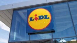 Cohue chez Lidl pour cette table de cuisson à induction portable à prix mini !