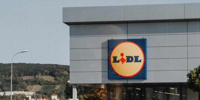 Cohue chez Lidl pour sa cave à vin parfaite à tout petit prix !