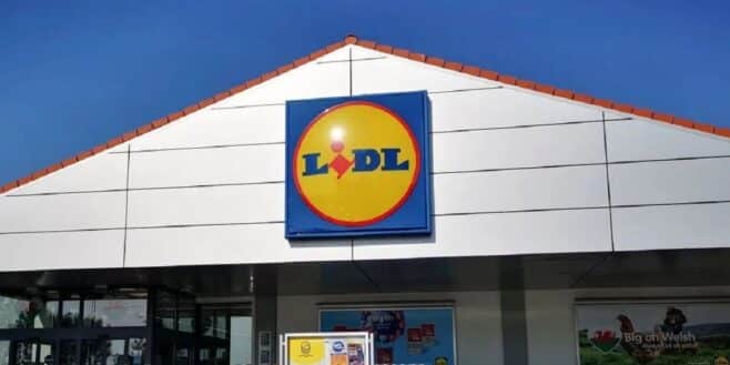 Cohue chez Lidl pour ses baskets les plus confortables de l'été à prix cassé !