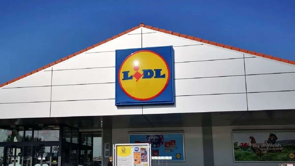 Cohue chez Lidl pour ses baskets les plus confortables de l'été à prix