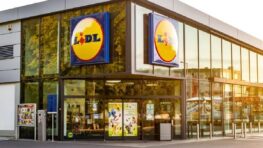 Cohue chez Lidl pour son barbecue à petit prix parfait pour faire de bonnes grillades !