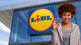 Cohue chez Lidl pour son fauteuil qui se transforme en chaise longue !