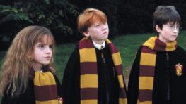 Harry Potter les cinémas Gaumont Pathé rediffusent la saga en intégralité dans cette ville !