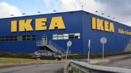 Ikea frappe fort avec sa nouvelle moustiquaire de jardin !