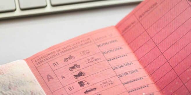 Le permis de conduire et la vignette assurance verte vont bientôt disparaitre en format papier !