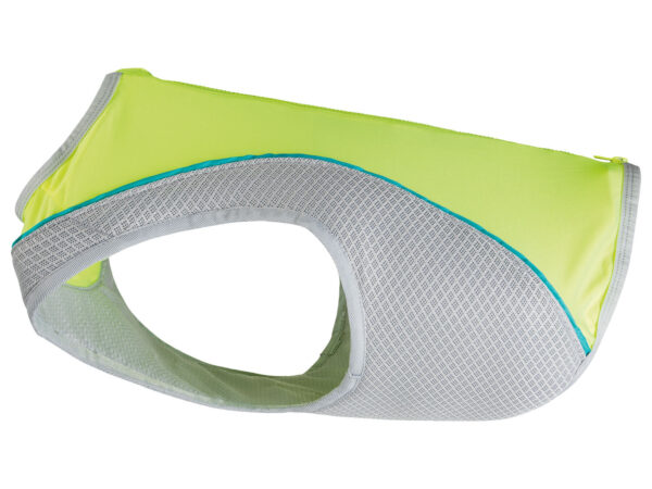 Lidl dévoile l'accessoire indispensable pour rafraichir votre chien cet été