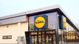 Ruée chez Lidl avec sa moustiquaire coulissante pour porte pour un été sans moustiques !