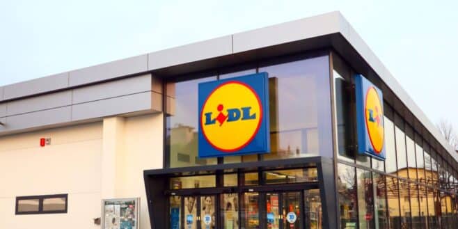 Ruée chez Lidl avec sa moustiquaire coulissante pour porte pour un été sans moustiques !