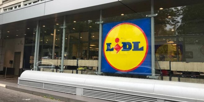 Lidl frappe fort avec cet accessoire qui va tout nettoyer chez vous !