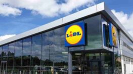 Lidl frappe fort avec l'accessoire indispensable pour rafraichir votre chien cet été